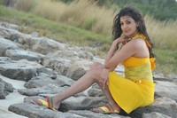 Kajal Stills in Businessman